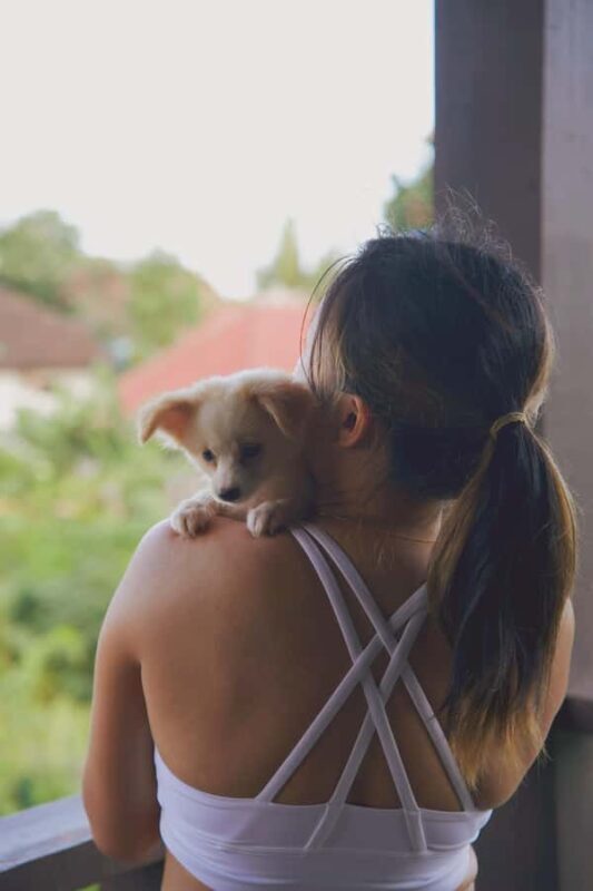 Puppy Yoga in Bali, Ubud & Uluwatu - The Locations: Ubud & Uluwatu