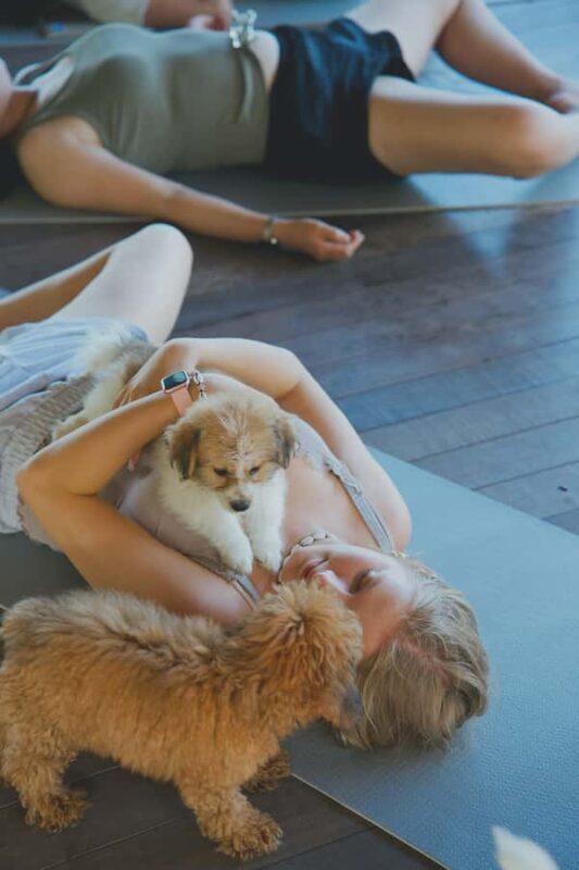Puppy Yoga in Bali, Ubud & Uluwatu - Who Will Love This?
