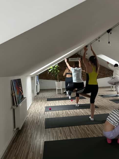 Puppy Yoga in Riga - Pricing and Value