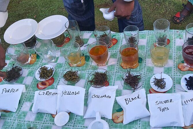 Purple Tea Farm Tour from Nairobi City - Specialty Tea Tasting - FAQs About the Purple Tea Farm Tour