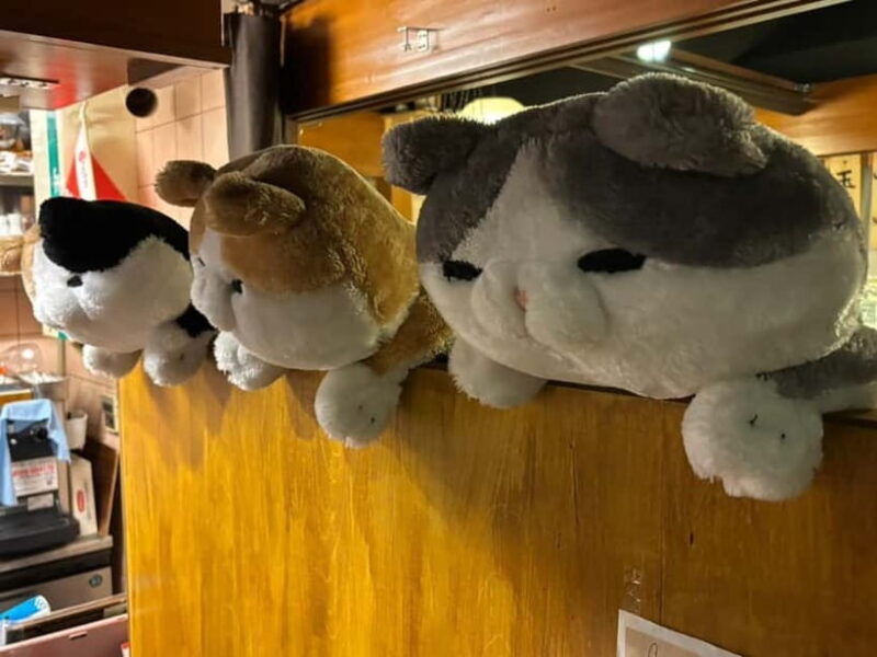 Purrrrfect Osaka Cook'n'eats - An In-Depth Look at Purrrrfect Osaka Cookneats  