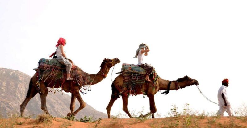 Pushkar Day Trip with Camel Safari From Jaipur By Car. - Why This Tour Offers Great Value