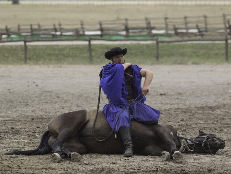 puszta-tour-and-horse-show