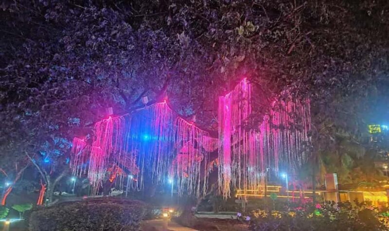 Putrajaya, Cyberjaya & Gamuda Cove Day Trip - Key Points