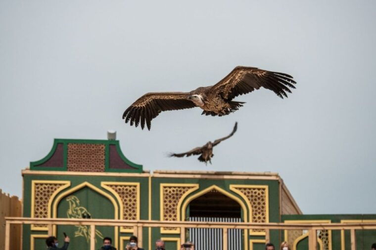 puy-du-fou-spain-entry-ticket