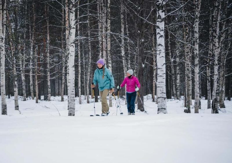 Pyhä: Skiing Tour in Arctic Forest - Final Thoughts
