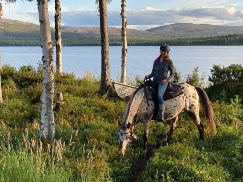Pyhä: Small Group Horseback Riding Adventure - What to Expect on the Horseback Riding Adventure