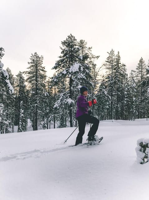 pyhatunturi-private-snowshoeing-tour-in-pyhatunturi