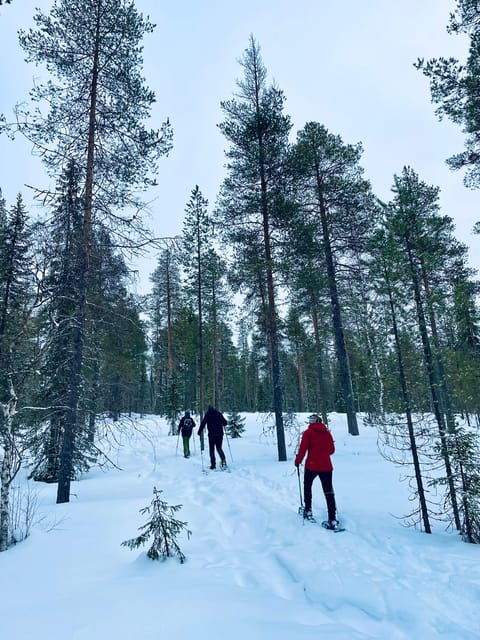 pyhatunturi-private-snowshoeing-tour-in-pyhatunturi