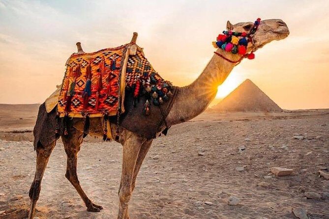 Pyramids camel ride - Introduction