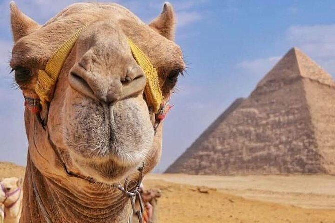 Pyramids & Camel Tour - Key Points