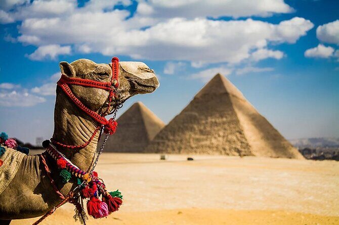 Pyramids of Giza and Egyptian Museum Semi Private from Hurghada - Key Points