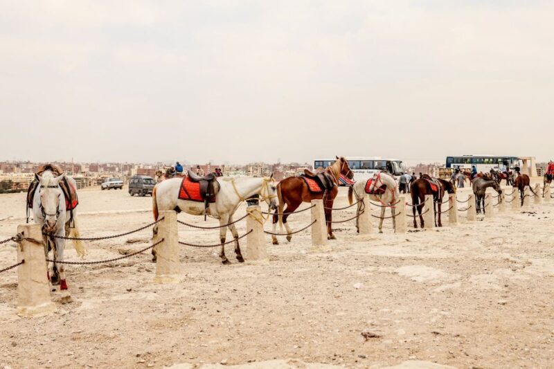 Pyramids of Giza and Great Sphinx: Private Half-Day Tour - What to Expect on the Day