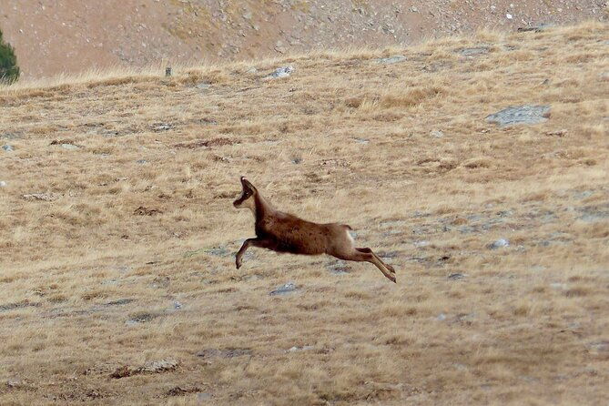pyrenees-hiking-from-barcelona