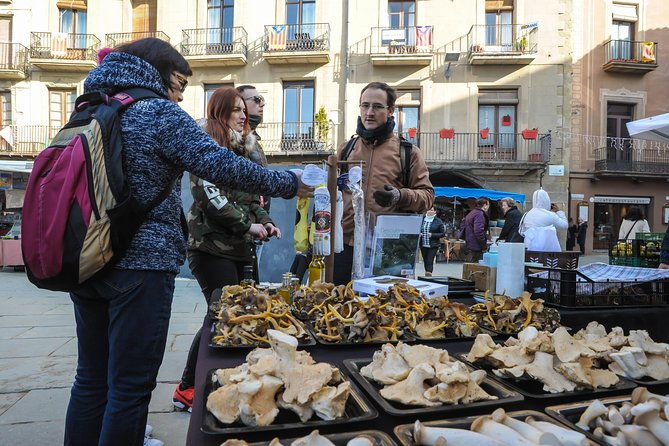 pyrenees-medieval-towns-small-group-tour-from-barcelona