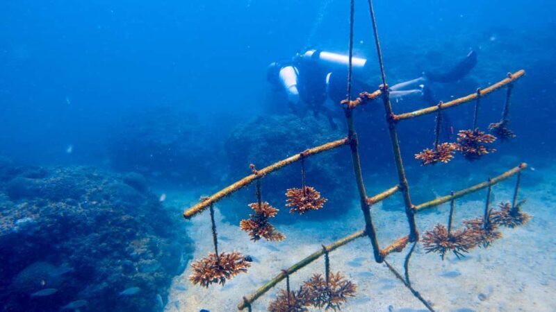 Qantab Beach: Discover Scuba Diving Experience - Overview of the Experience