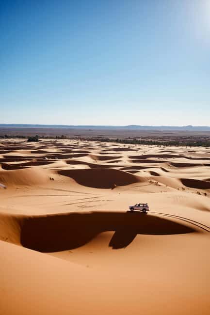 Qatar Desert Safari Tours - Key Points