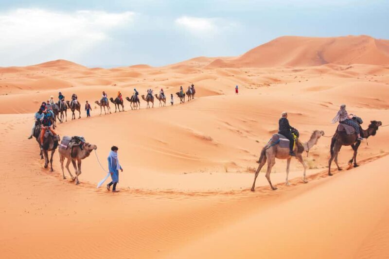 Qatar Desert Safari Tours - What to Expect from the Qatar Desert Safari Tour