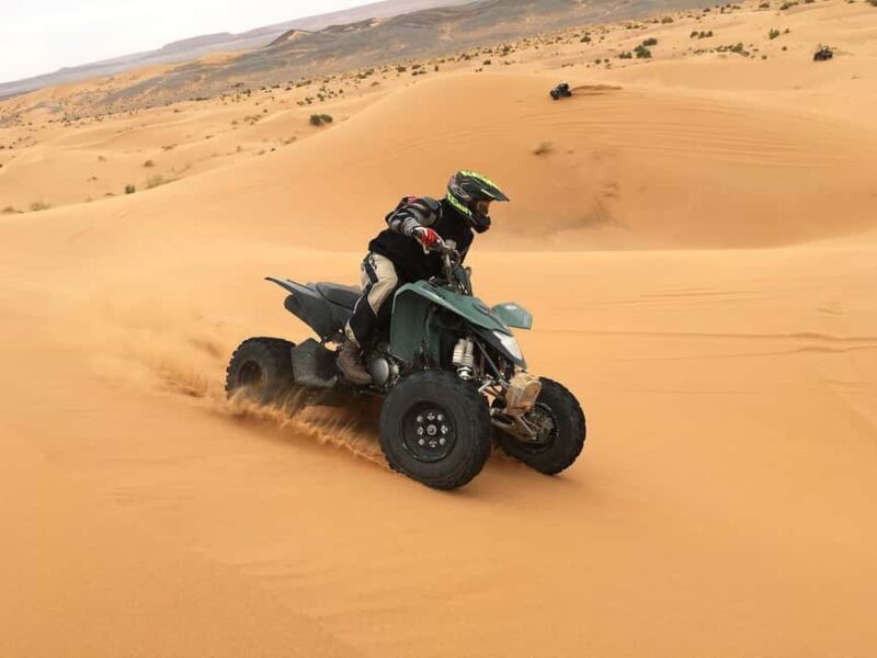 Qatar Desert Safari Tours - Why This Tour Works Well for Different Travelers