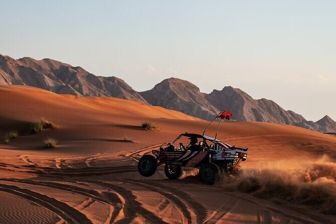 Qatar Desert Thrills Self Ride Dune Buggy Safari and Camel Ride - In-Depth Breakdown of the Itinerary