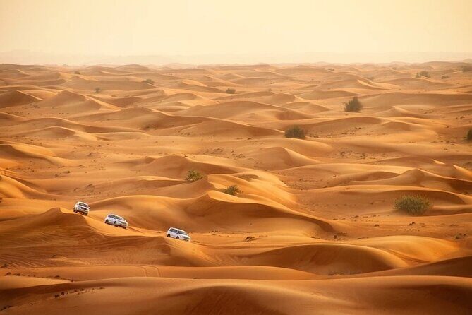 Qatar Dune Buggy Private Experience - Final Thoughts