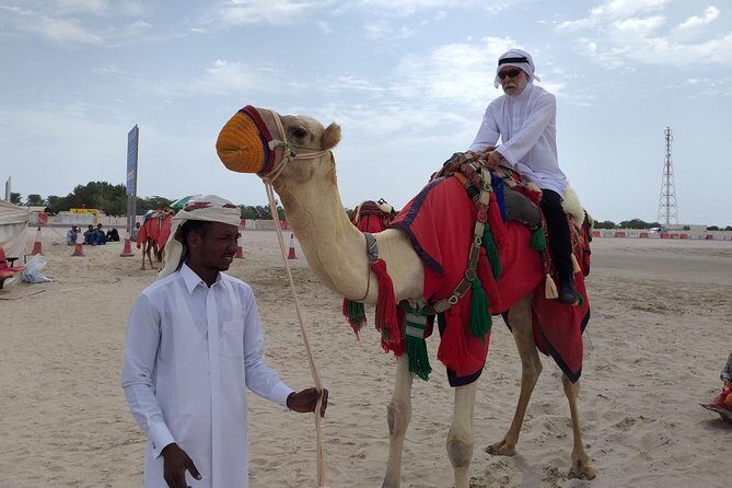 Qatar Gold Dune Safari, Dune Bashing,Camel Ride,Sand Boarding,Inland Sea Desert - Who Should Book This Tour?  