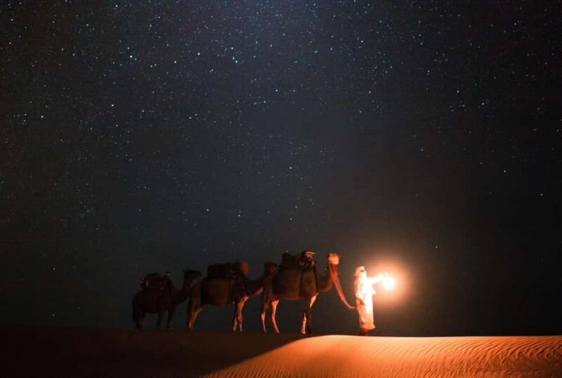Qatar: Night Desert Safari| Camel Ride| Inland Sea Beach - Authentic Reviews and What They Tell Us