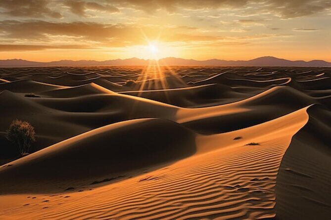 Qatar: Sunrise or Sunset Desert Tour in Doha, unforgettable trip - FAQs