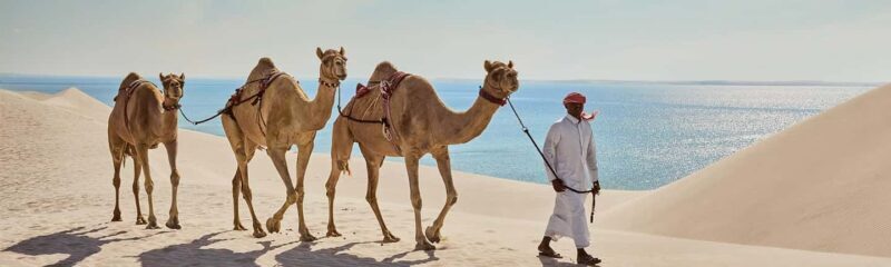 Qatar: Sunrise/Sunset Desert Safari, Camel Ride&Sandboarding - Key Points