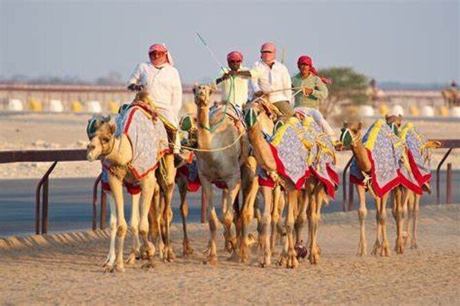 Qatar West Coast Zkreet Richard Sierra Camel Track Rock Formation - The Itinerary in Detail