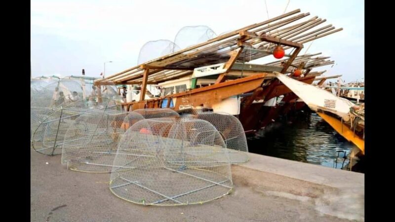 Qatar:North Tour, Purple island, zubara Fort, Jumail village - Authentic Experiences & Highlights  