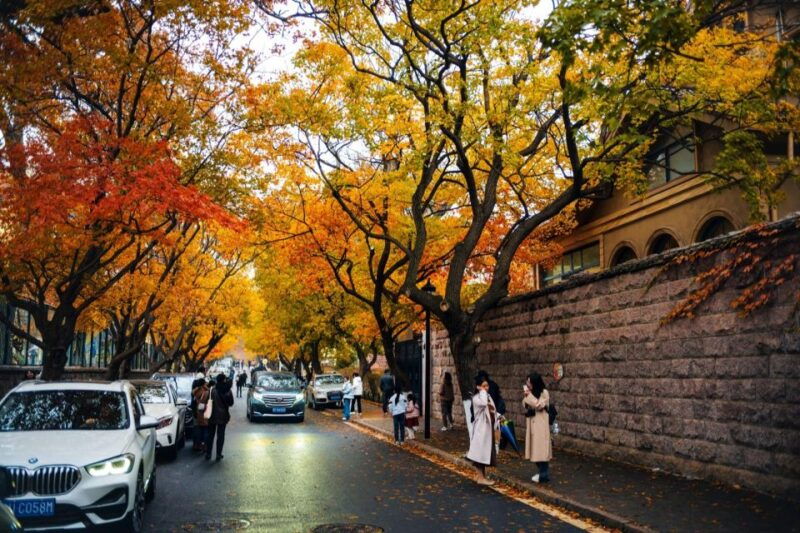 qingdao-city-highlights-and-tsingtao-beer-museum