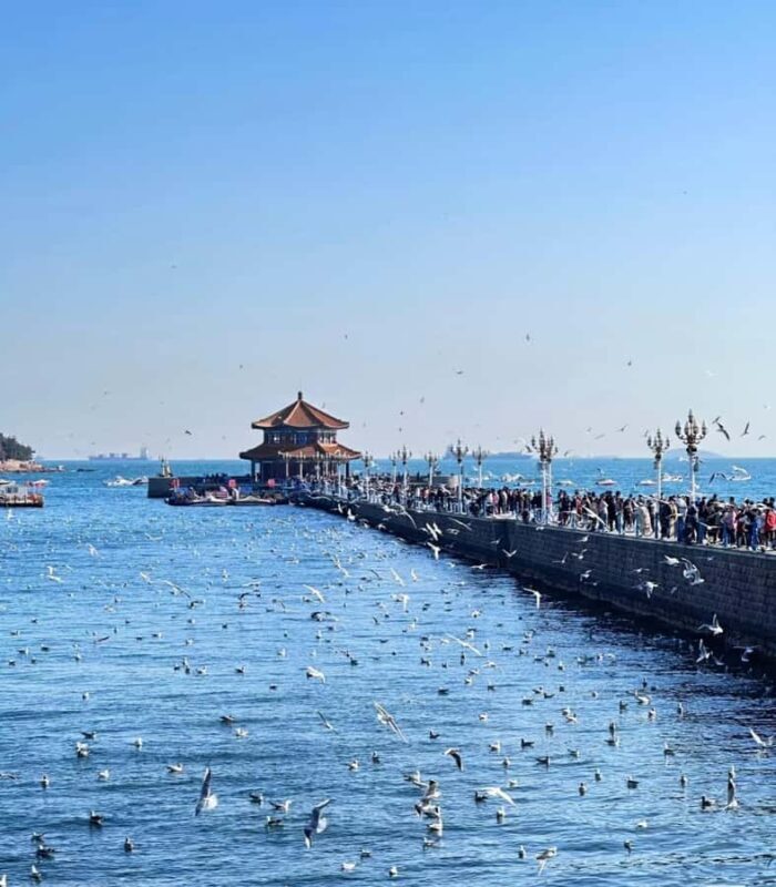 Qingdao: Offshore City Highlights with Fan Workshop & Market - Key Points