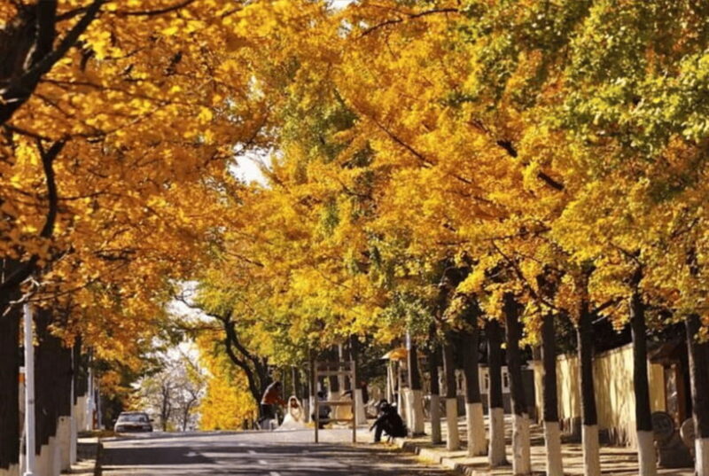 Qingdao: Private City Tour with Beer & a Delectable Lunch - FAQ