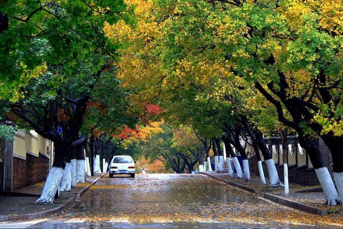 Qingdao Private Tour: City Highlights and Laoshan Mountain with Lunch+Cable Car - What We Love and What to Watch For