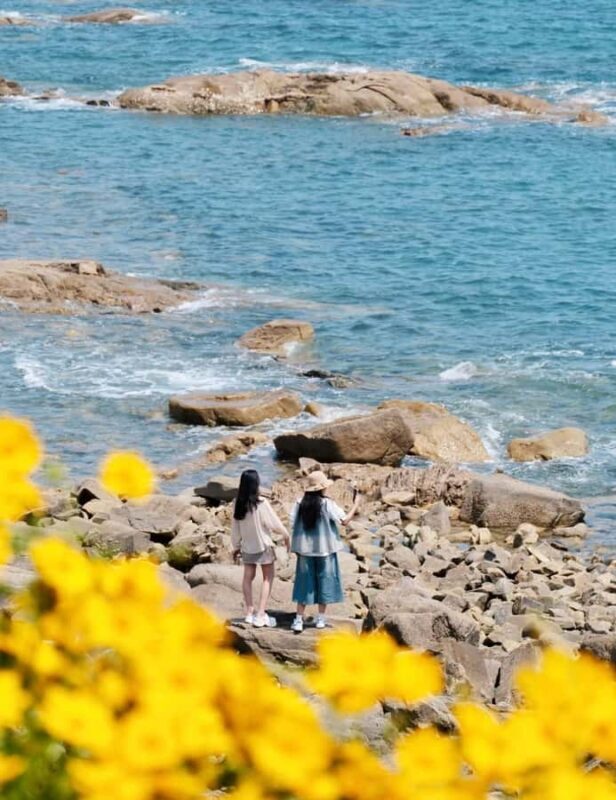 Qingdao West Coast Art, Culture & Coastal Adventure Day Tour - A Detailed Look at the Tour Experience