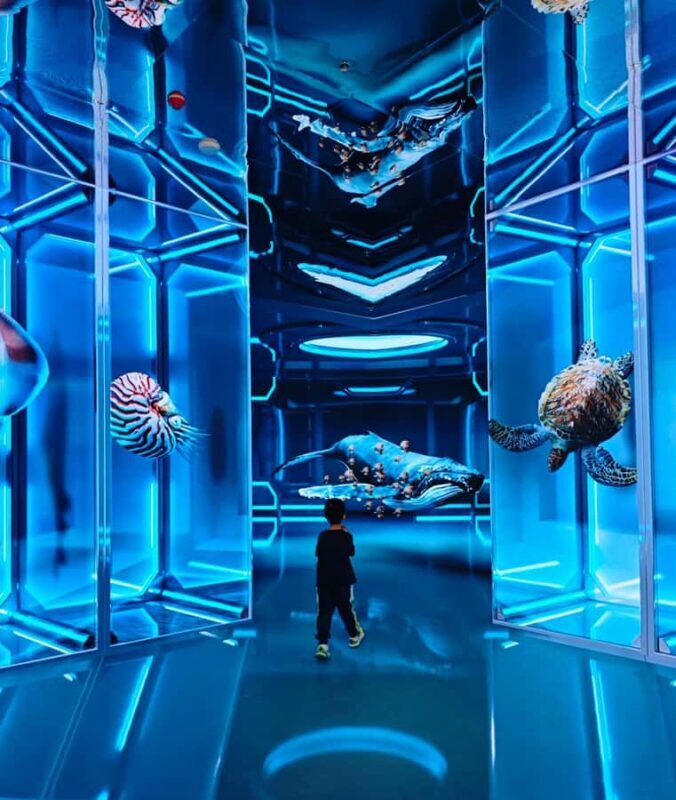 Qingdao West Coast Art, Culture & Coastal Adventure Day Tour - FAQ