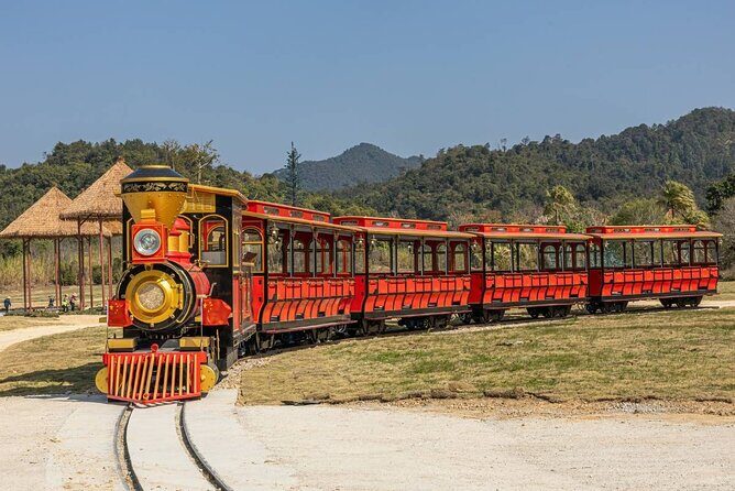 Qingyuan Chimelong Forest Kingdom and Hot Spring Experience - Who Should Consider This Tour?