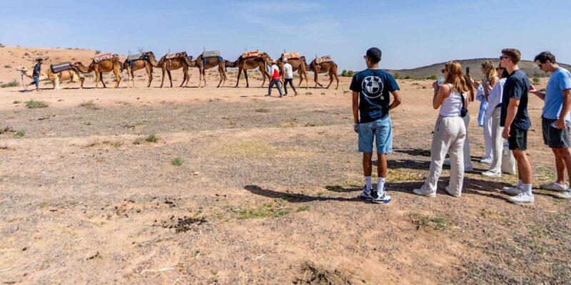 Quad Adventure with Berber Lunch and Pool Oasis - The Sum Up: Who Will Love This Experience?