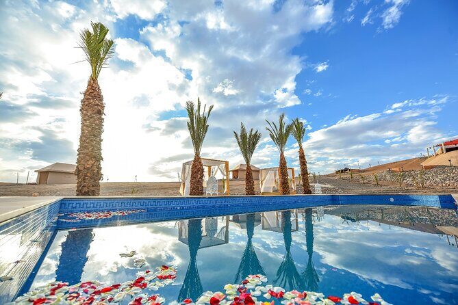 Quad and Camel Ride in the Agafay Desert with Swimming Pool - Who Will Love This Tour?