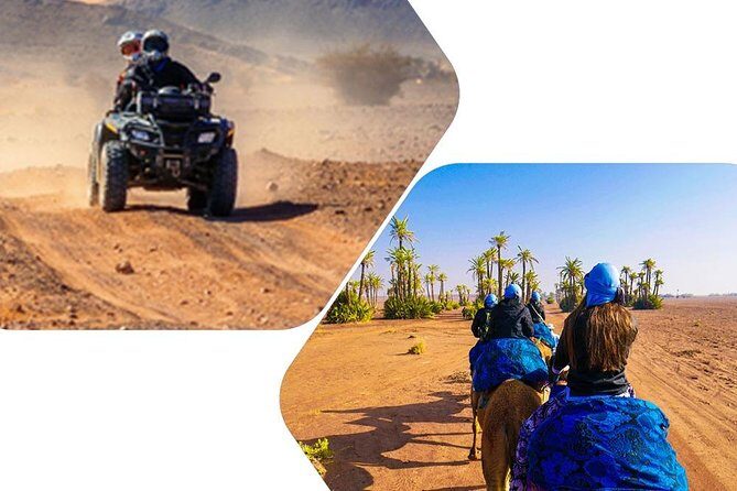 Quad and Camel ride in the palmgrove of Marrakech - The Scenic and Cultural Highlights