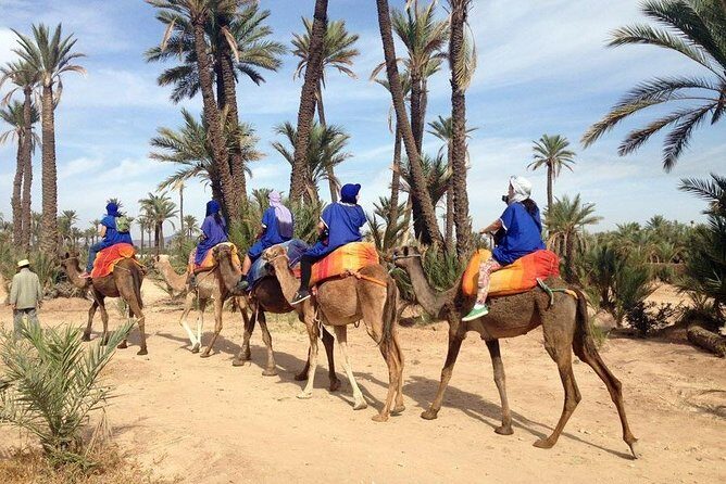 Quad and Camel ride in the palmgrove of Marrakech - Practical Tips for Your Trip