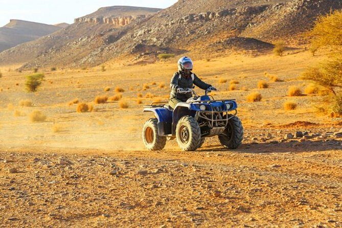 Quad and Camel ride in the palmgrove of Marrakech - Who Will Love This Tour?