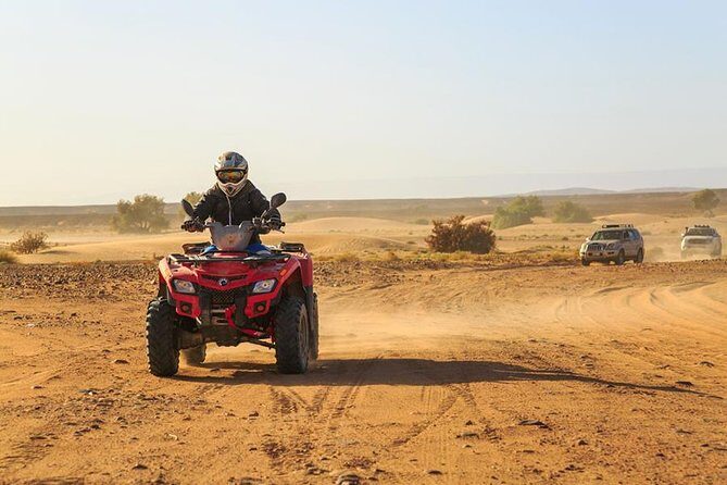Quad and Camel ride in the palmgrove of Marrakech - The Sum Up