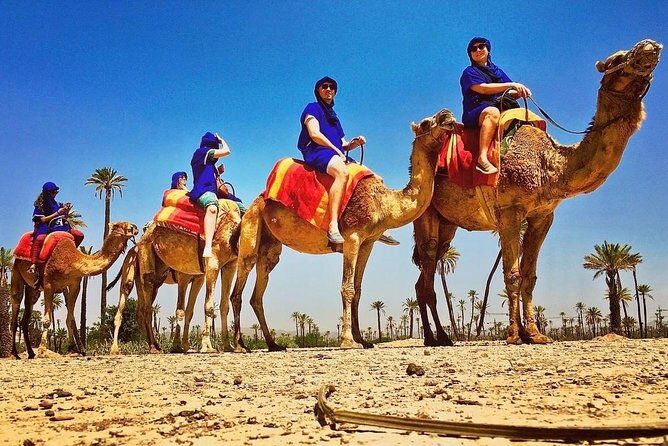Quad and Camel ride in the palmgrove of Marrakech - FAQ