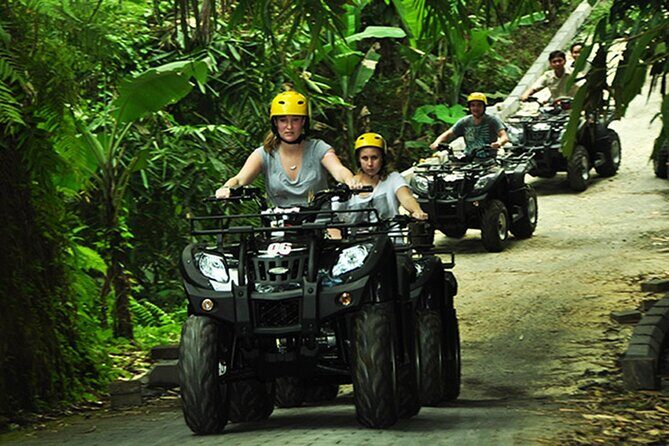Quad Bike Adventure and Monkey Forest Experience All-Inclusive - The Sum Up