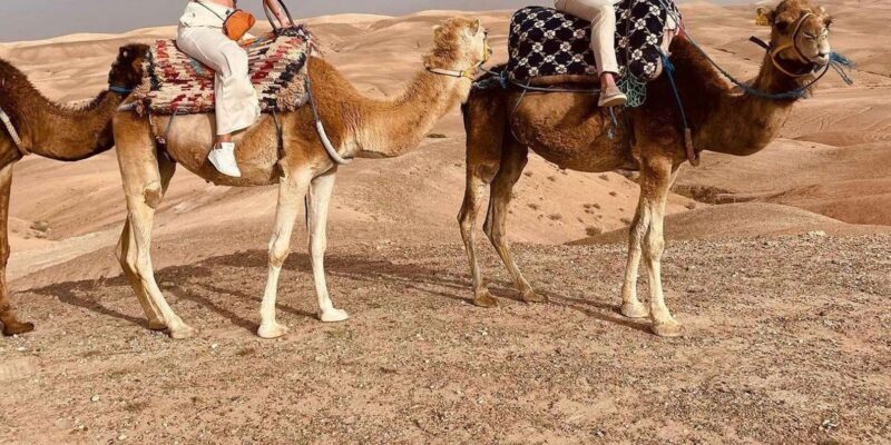 Quad Bike Adventure: Exploring Agafay Desert from Marrakech - Key Points