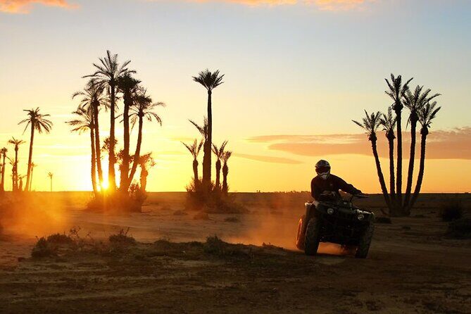 Quad Bike and Camel Ride in Marrakech Palmeraie - The Value of This Tour