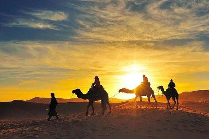 Quad Bike & Camel Ride & Dinner Show In Agafay Desert - Dinner and Entertainment: A Night Under the Stars
