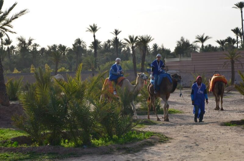 Quad Bike & Camel Ride In Marrakech - Key Points